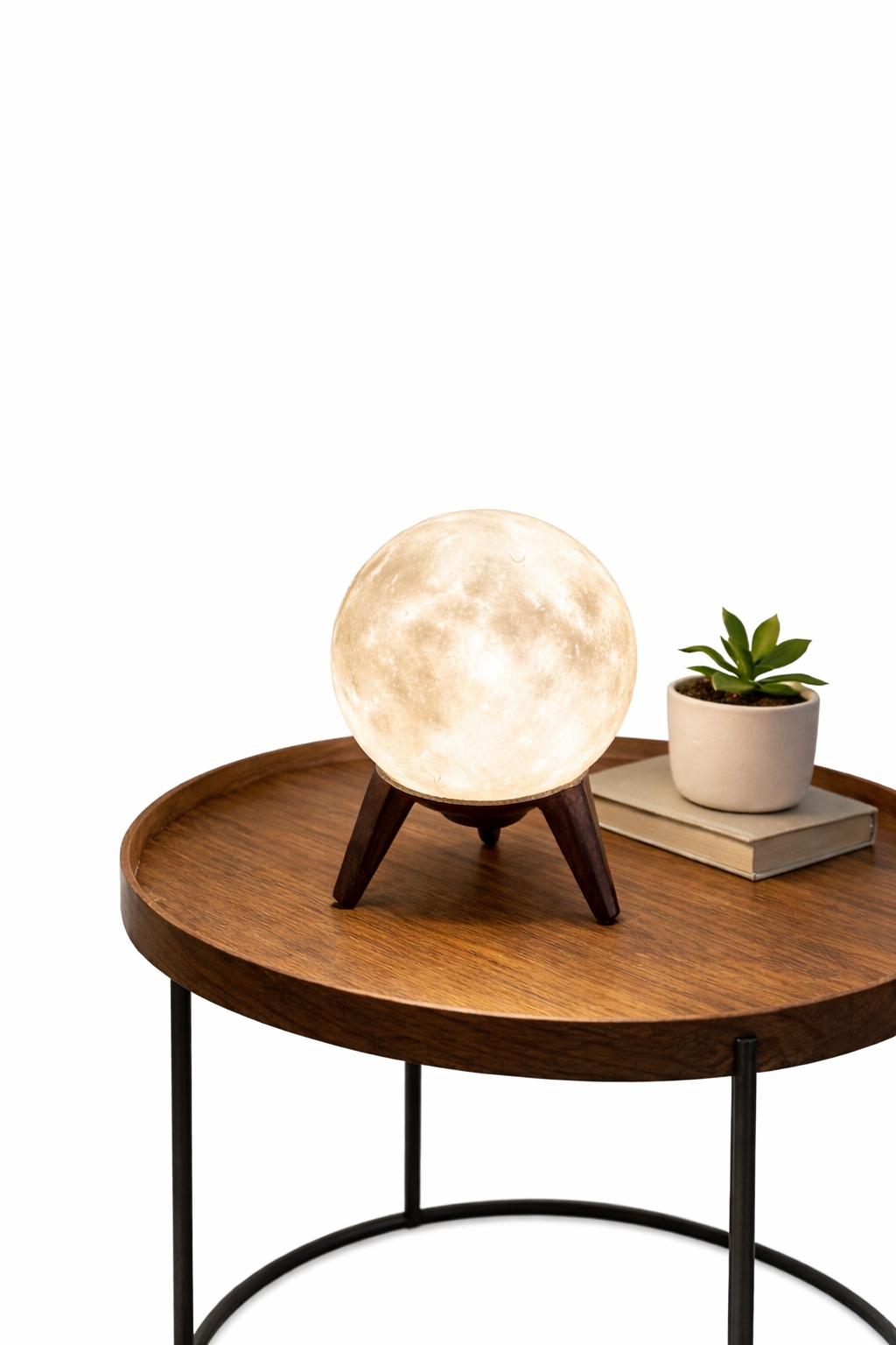 Lunar Whisper Moon Lamp
