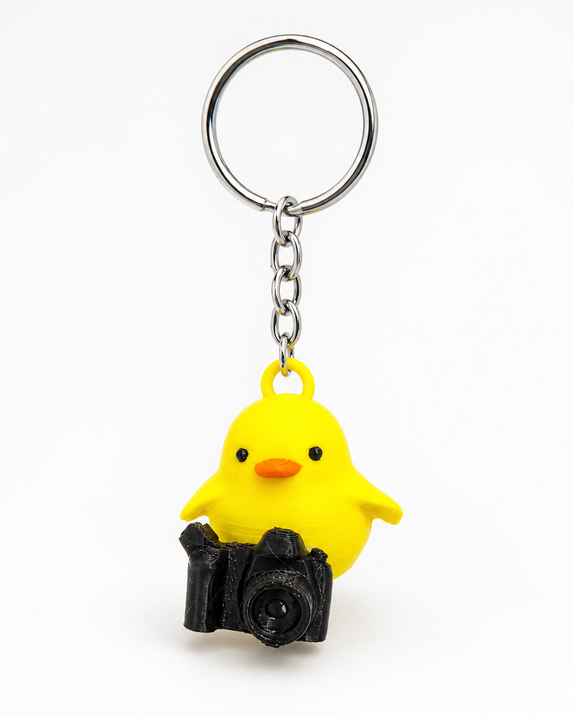 Photographer duck
