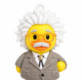 Einstein duck