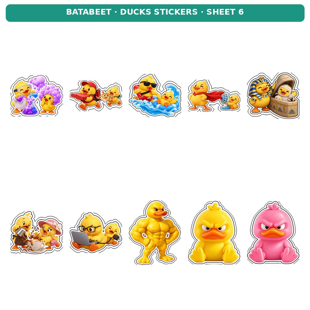 DUCKS STICKERS